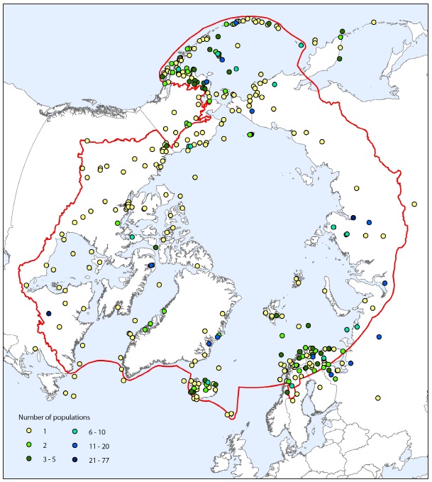 Figure 7. Distribution of population time-series data across the Arctic region 1951-2010 and CAFF boundary. Please note: Number of populations per locations are indicated by colour.