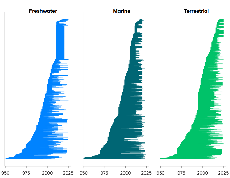 Temporal distribution in the LPD