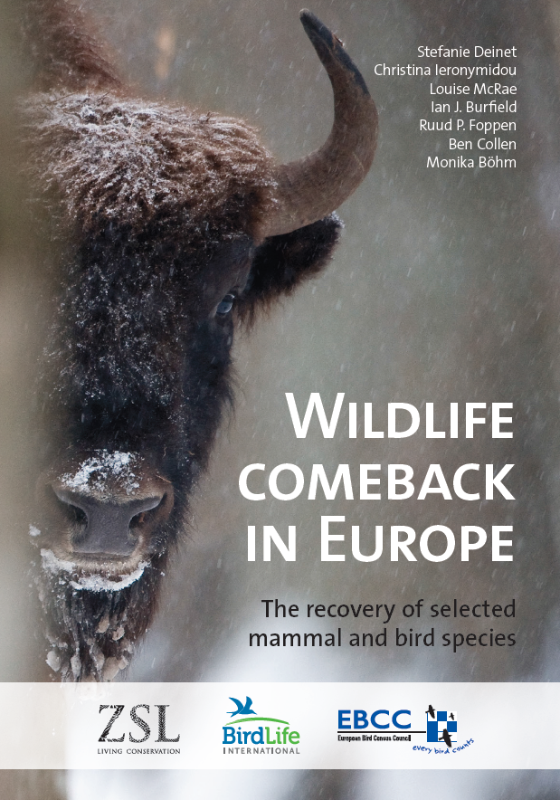 Wildlife Comeback Europe